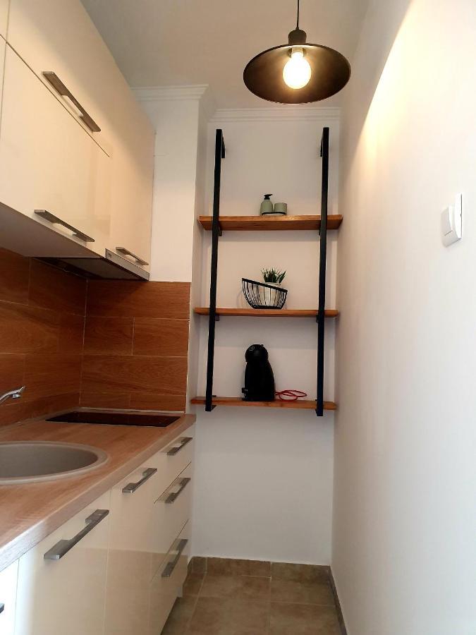 Anja & Ogo Apartments Sea View & Pool Petrovac ภายนอก รูปภาพ